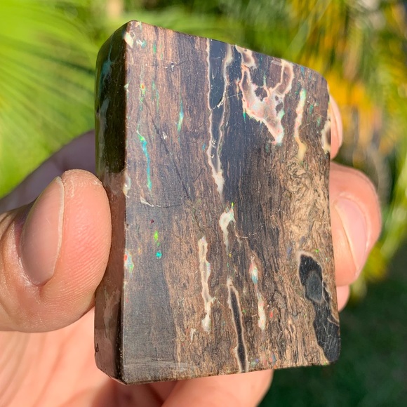 Precious conk opal - Picture 5 of 7